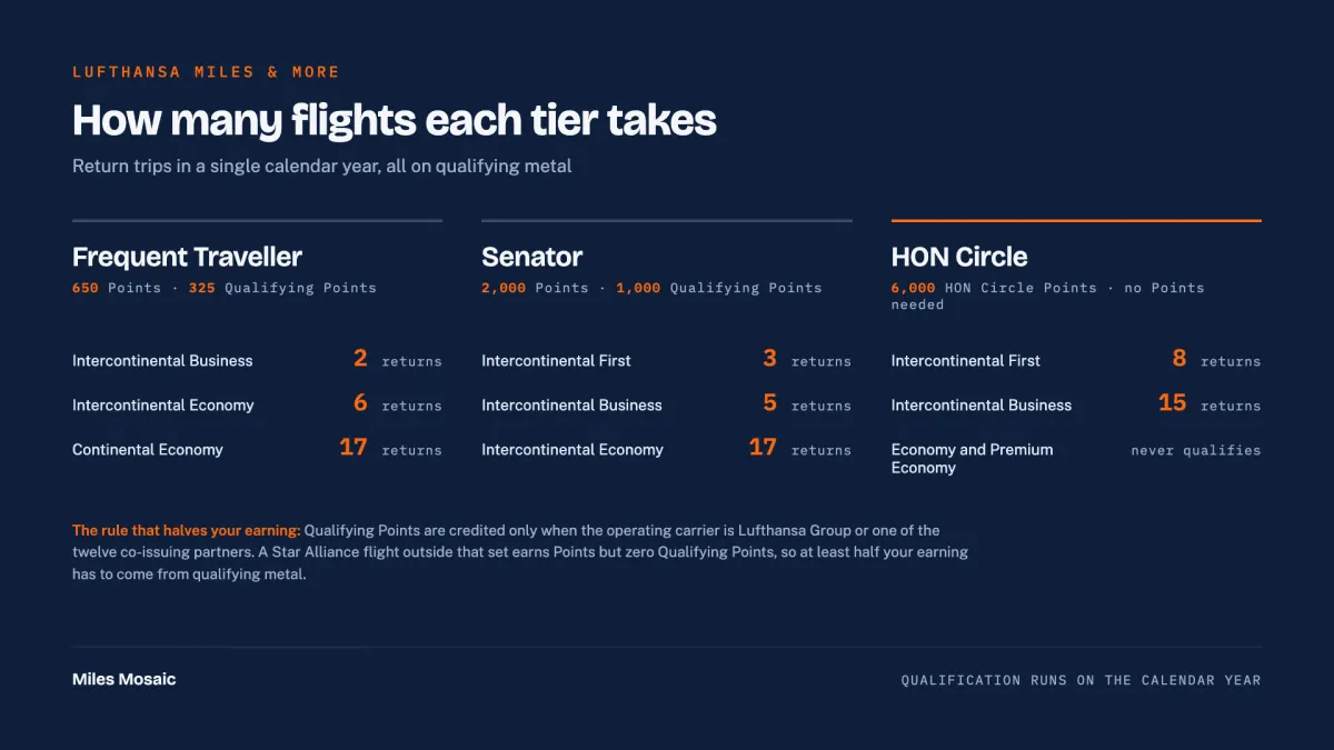 Chart of Miles & More Frequent Traveller, Senator and HON Circle requirements in return trips, on a navy background